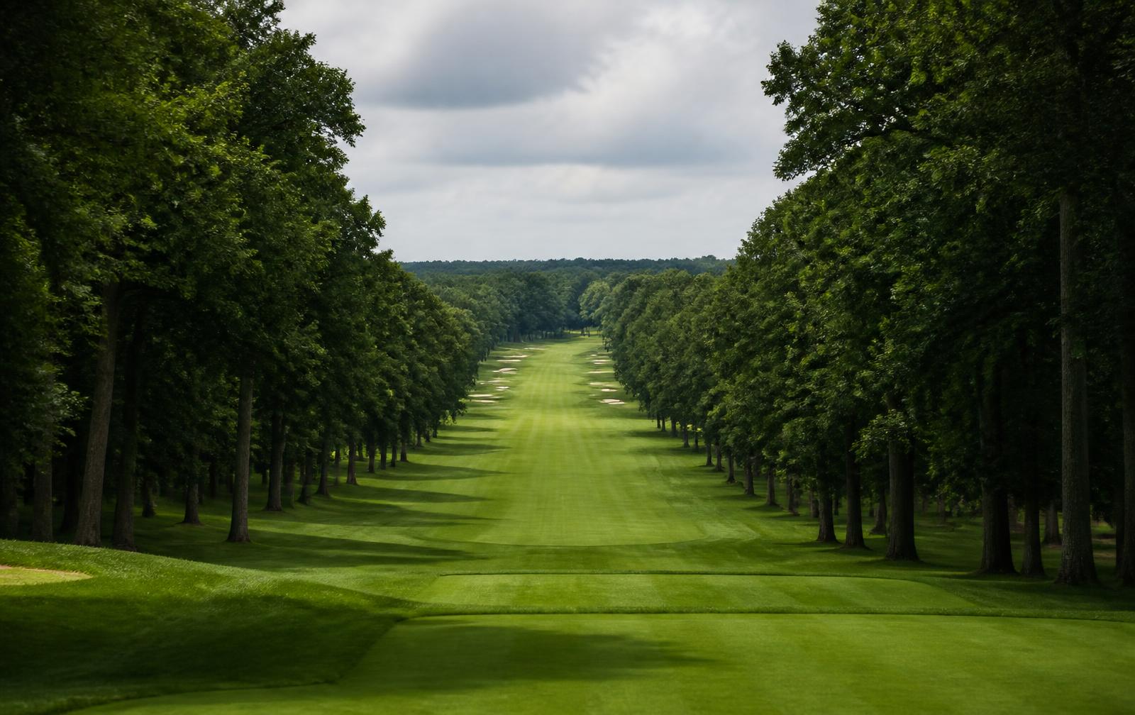 Long tree-lined championship fairway